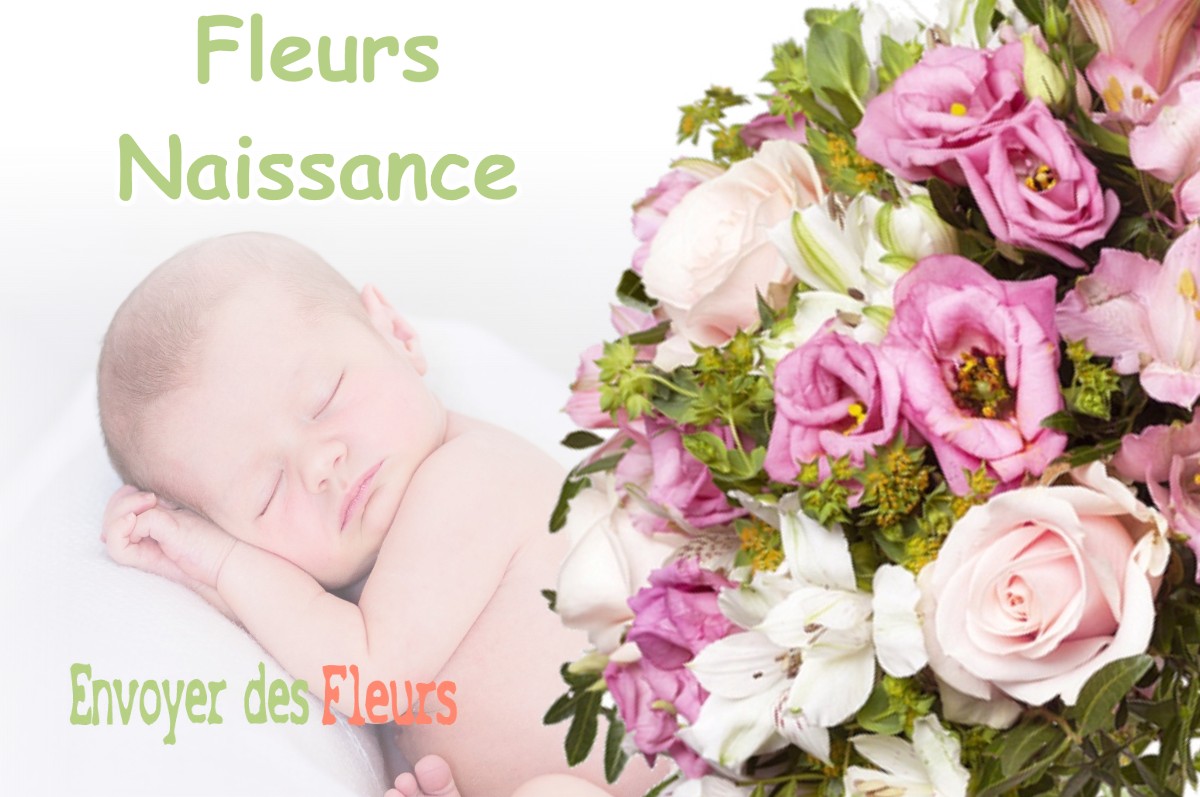 lIVRAISON FLEURS NAISSANCE à COGNET